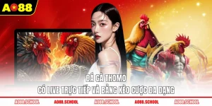 đá gà Thomo